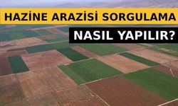 Hazine Arazisi Sorgulama Nasıl Yapılır?